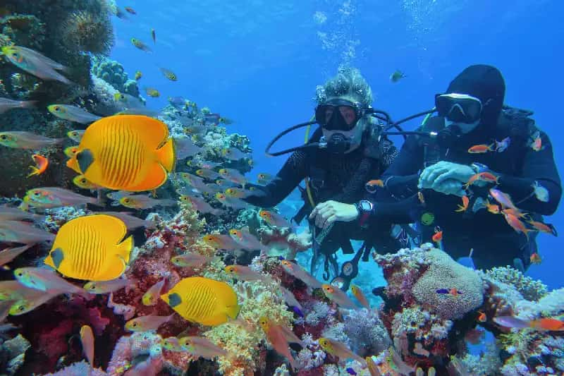 immersione a sharm el sheikh , tour cairo e sharm 