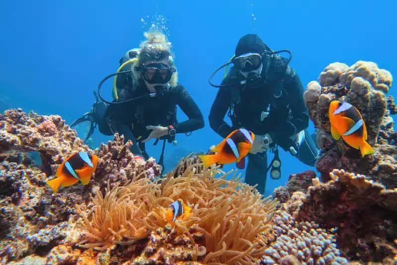 immersioni a sharm , Sharm el shiekh  capodanno