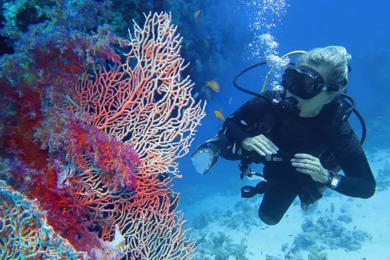 Immersione marsa alam , vacanza egitto piramidi e mare Immersione marsa alam , vacanza egitto piramidi e mare